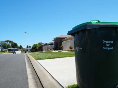 Utilising a Skip Bin for Effective Garden Clean-Up