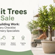 Fruit Trees for Sale After Building Work