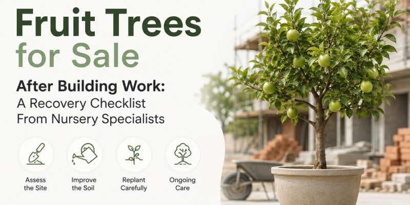 Fruit Trees for Sale After Building Work